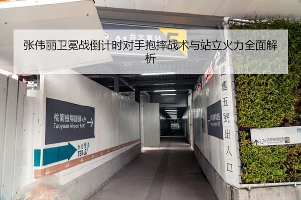 张伟丽卫冕战倒计时对手抱摔战术与站立火力全面解析