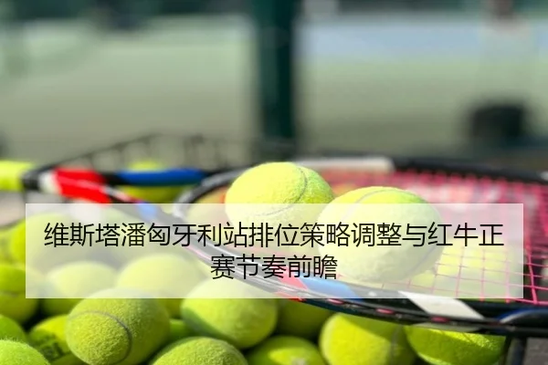 维斯塔潘匈牙利站排位策略调整与红牛正赛节奏前瞻