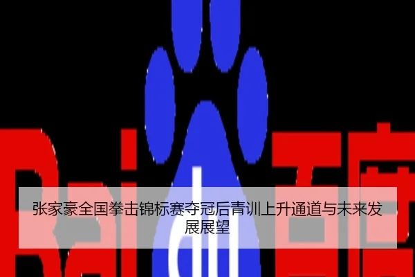 张家豪全国拳击锦标赛夺冠后青训上升通道与未来发展展望